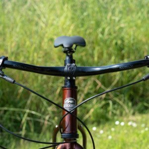 Tam Rohloff - Image 7