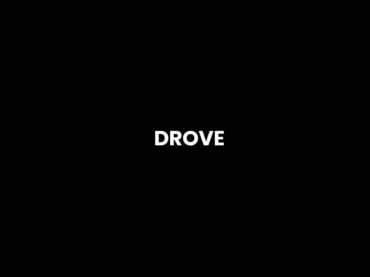 Drove Drop Bar 29er Adventure Bike